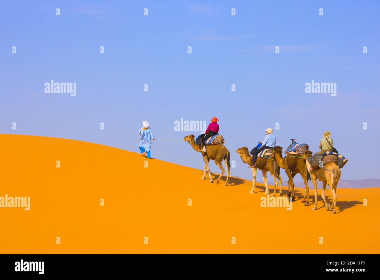 Camel caravan in Sahara Desert, Erg Chebbi, Morocco Stock Photo