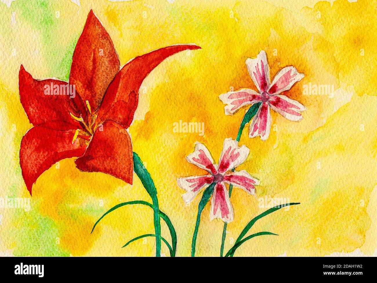 Portrayal of a big red flower and colorful small flowers in yellow ...