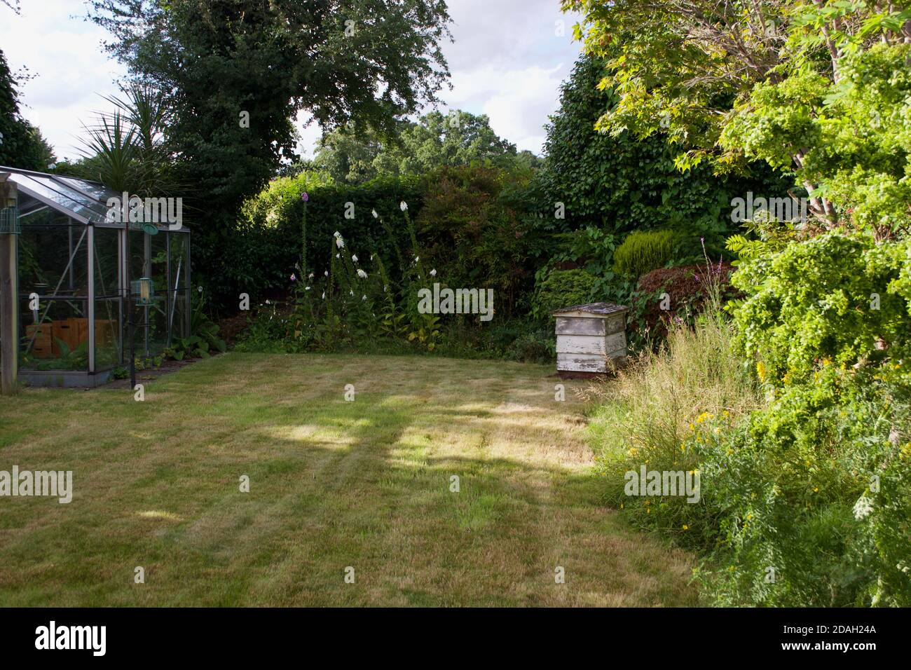 A greenhouse, bird feeder and wooden beehive in a small traditional English garden: growing foxgloves (digitalis) surrounded by trees and hedges with Stock Photo