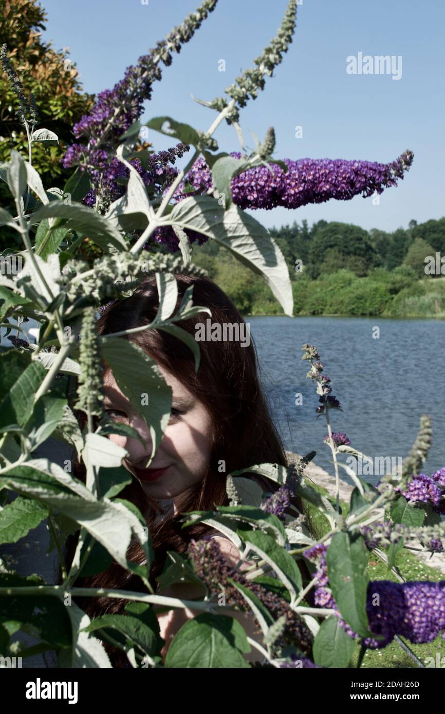 A young lady with brunette hair, on a sunny day by a lake. Hiding amongst the grey leaves and purple flowers of a buddleia bush Stock Photo
