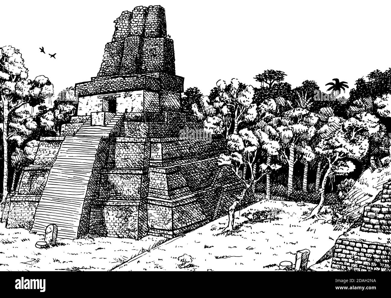 Steep templepyramid amid the forest at the old city of Tikal. A large