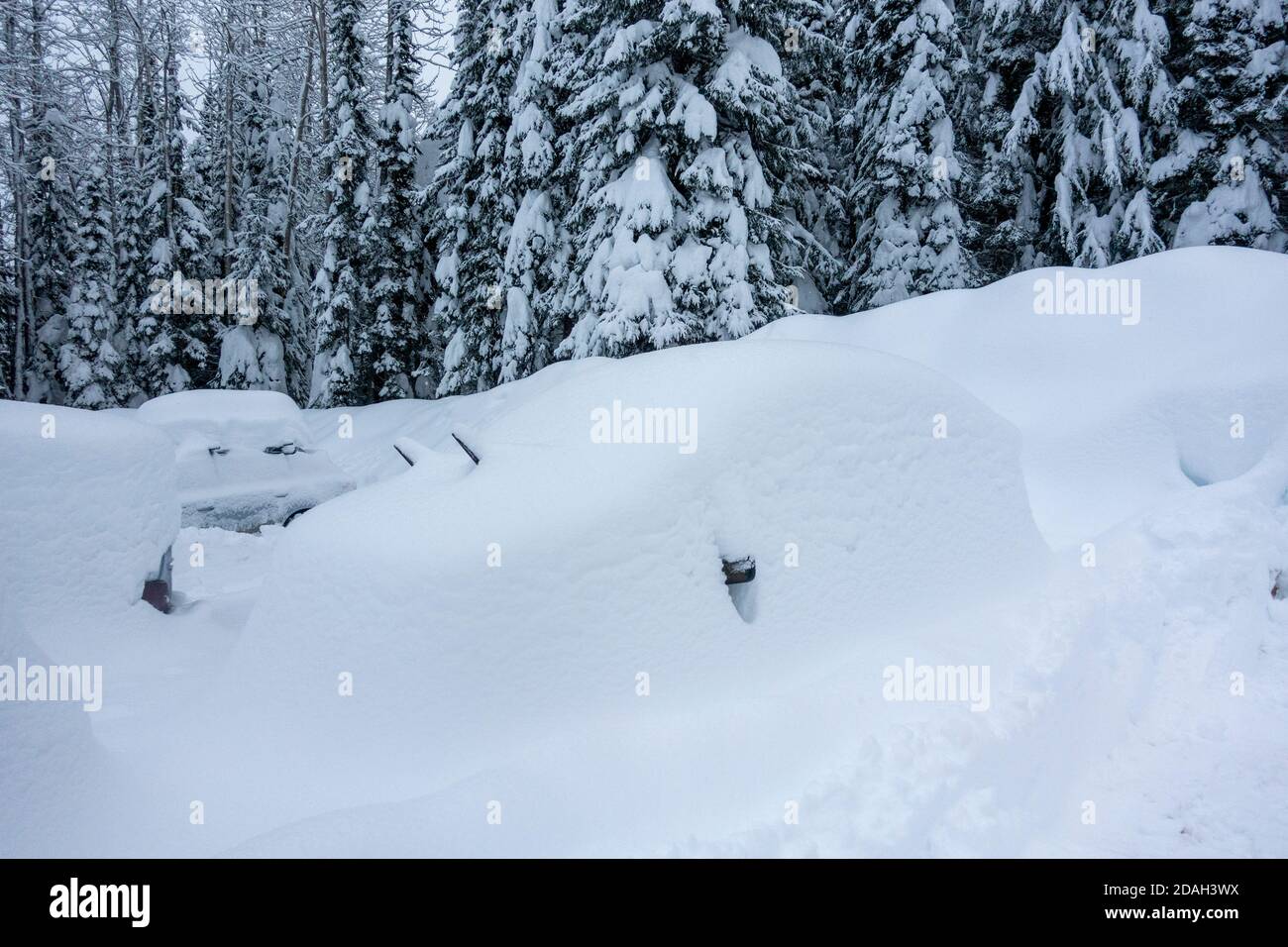 A car completely buried with snow Stock Photo