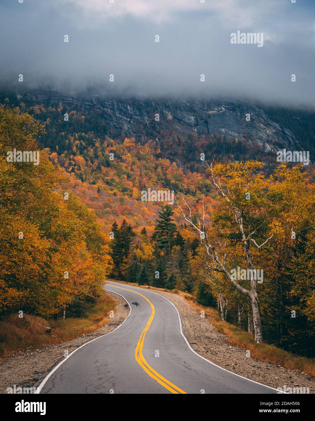 Autumn color and road at Grafton Notch State Park, Maine Stock Photo