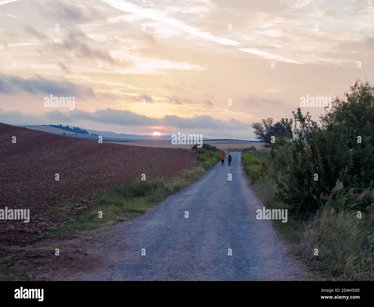 Pilgrims on the road at sunrise - Villamayor de Monjardin, Navarre, Spain Stock Photo