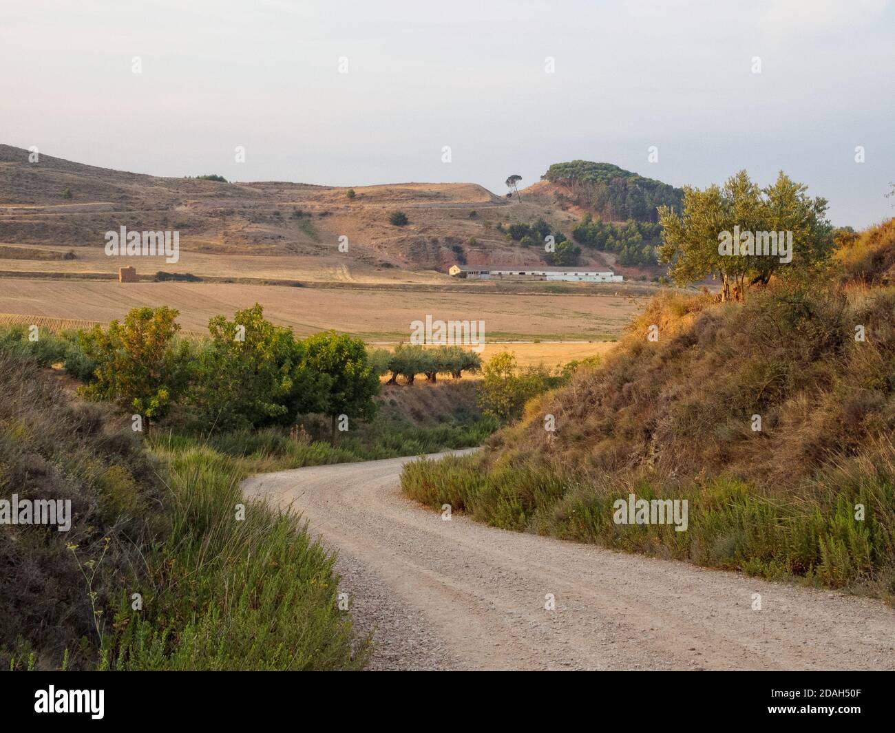 Curving dirt road on the Camino - Los Arcos, Navarre, Spain Stock Photo