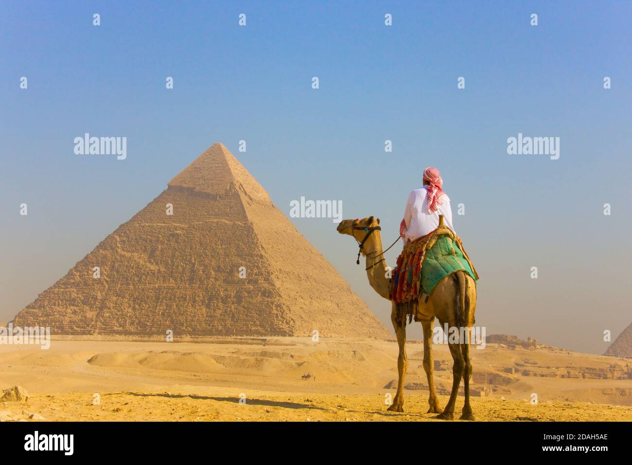 Camel rider with the Great Pyramid of Giza at dawn, UNESCO World Heritage site, Giza, Cairo Governorate, Egypt Stock Photo