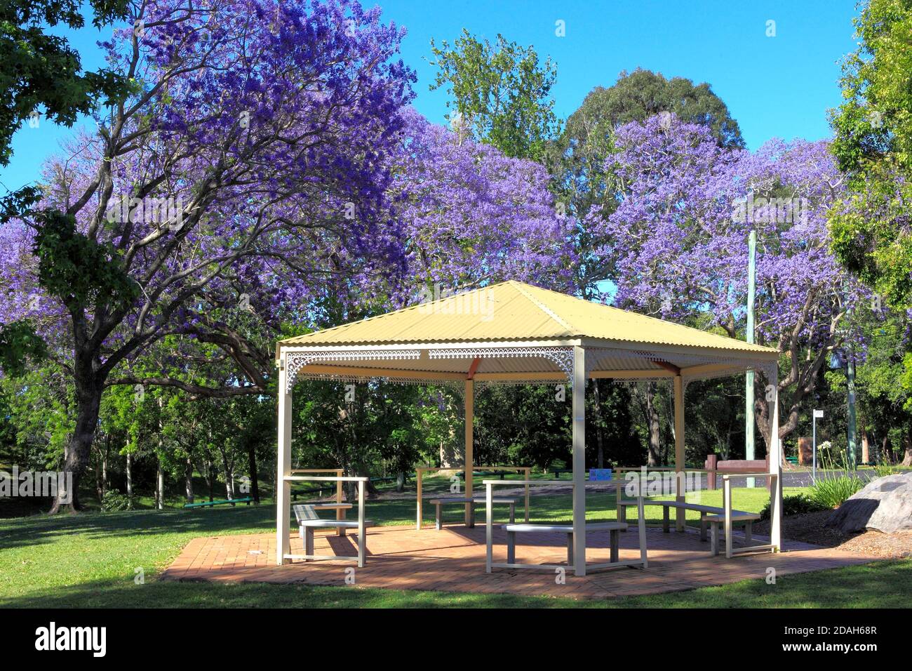 Gazebo in See Park, Grafton, NSW, Australia. Surrounded by jacaranda trees with purple flowers. Stock Photo