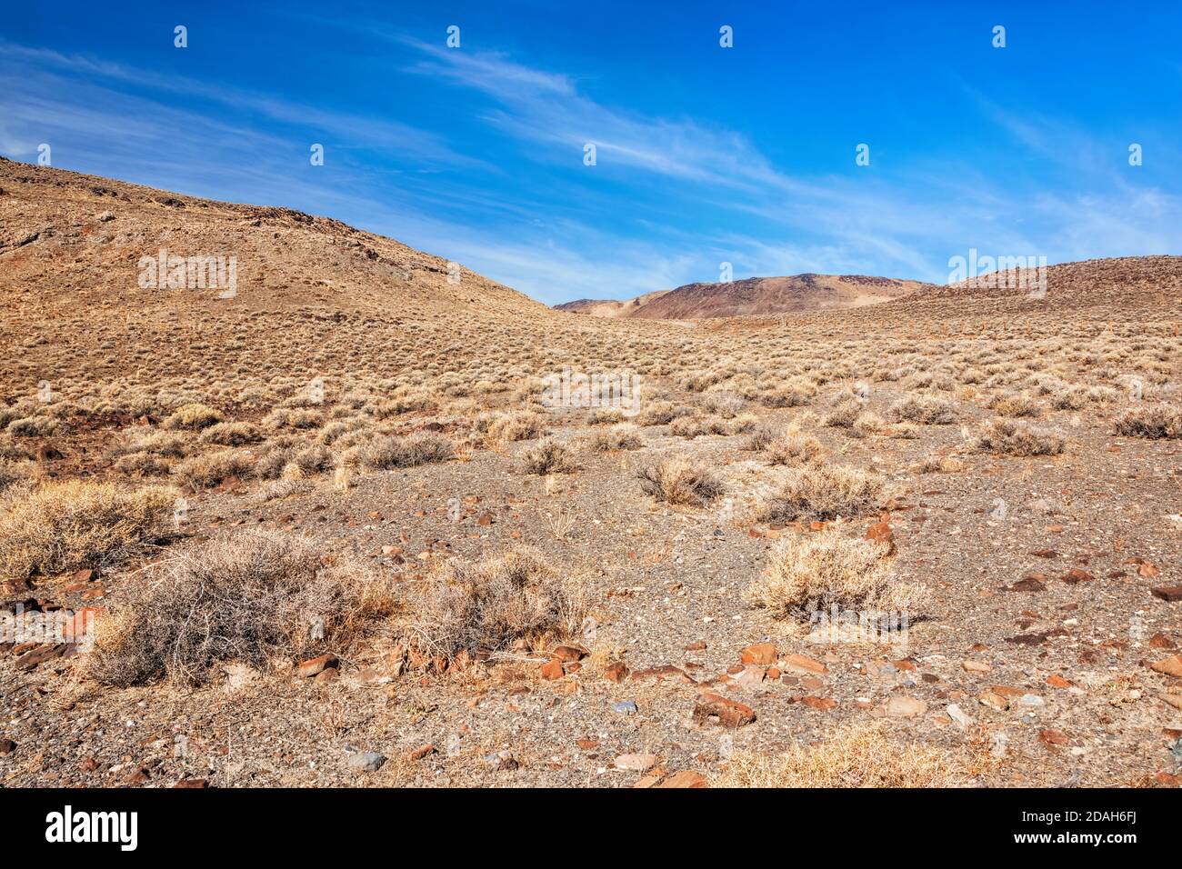 Arid desert landscape along US Route 95, Native American Paiute reservation, Fallon, Nevada, USA Stock Photo