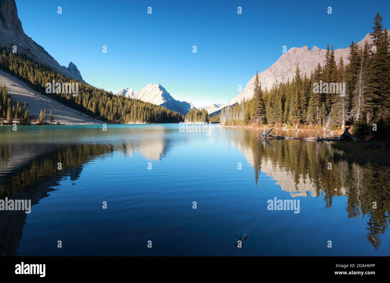 Elbow Lake scenery Stock Photo Alamy