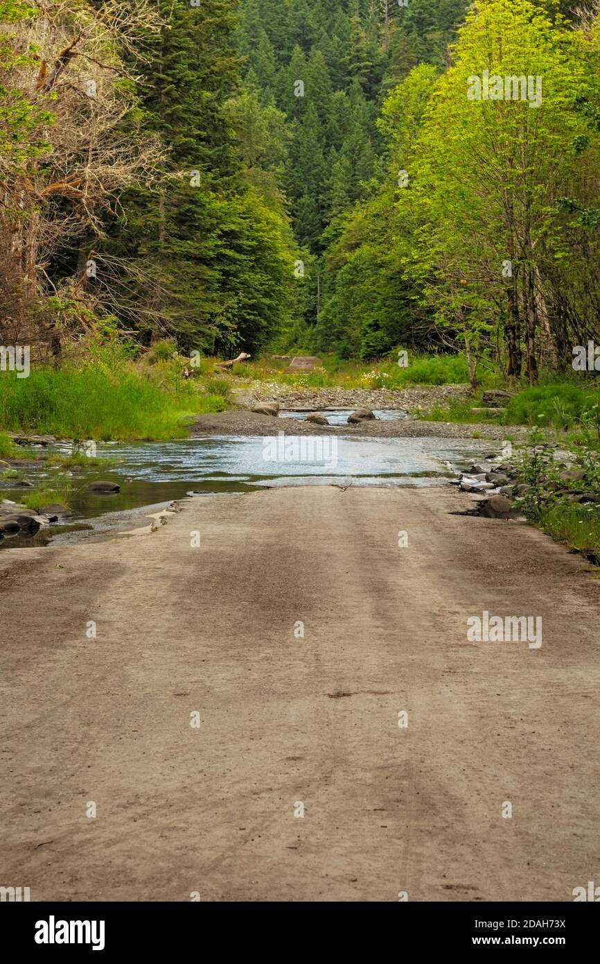 WA18024-00...WASHINGTON - The Elwha River Road flooded by the Elwah River when released from the Glines Canyon Dam in 2012, in Olympic National Park. Stock Photo