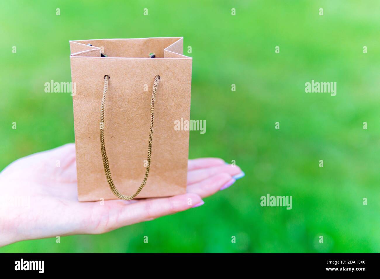 kraft paper bag. Template for branding identity on a natural green background. space for copying