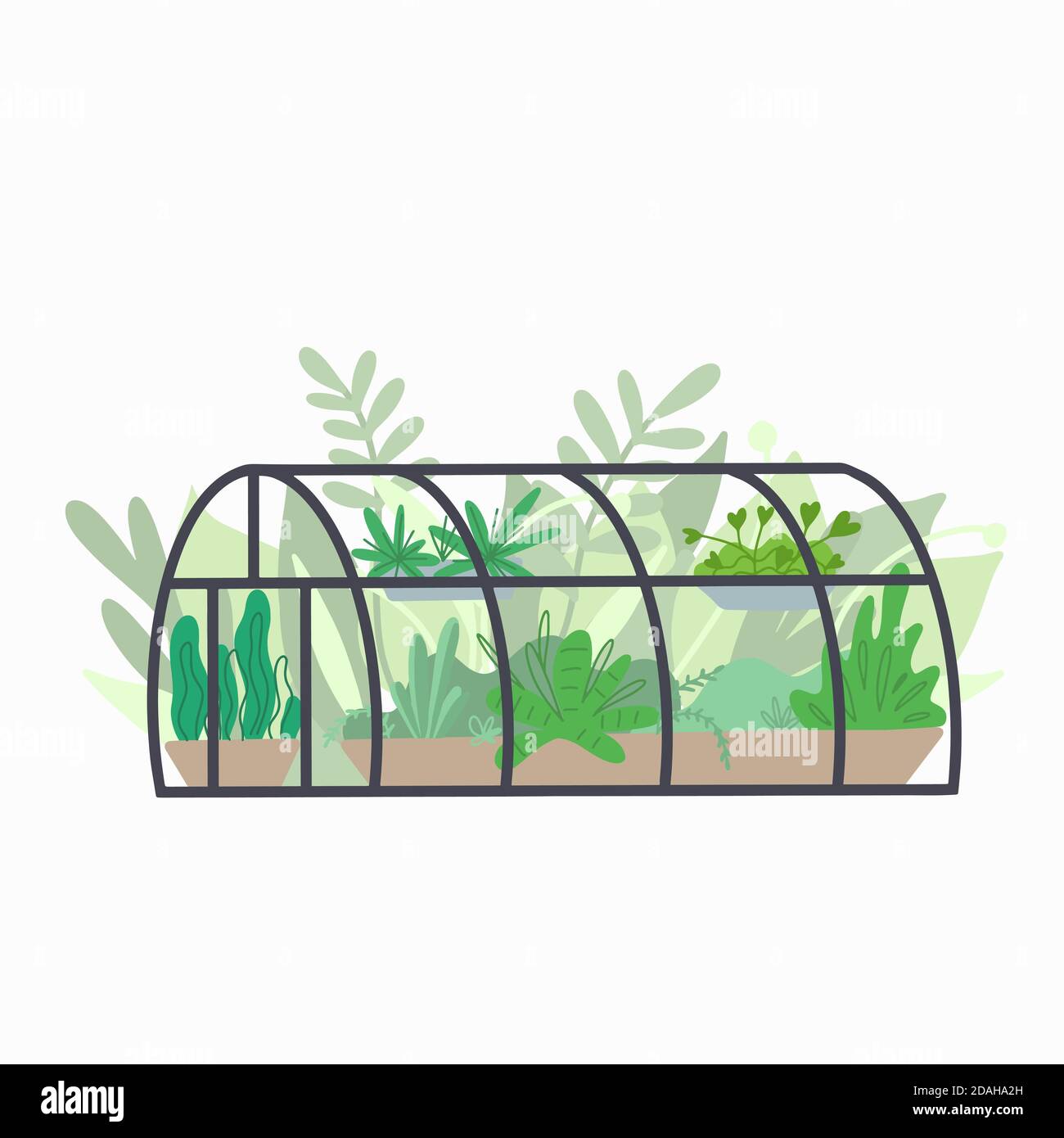 Home semicircular greenhouse with various plants. Glass orangery with flowers and grass. Hobbies and nature interest. Vector flat illustration for car Stock Vector