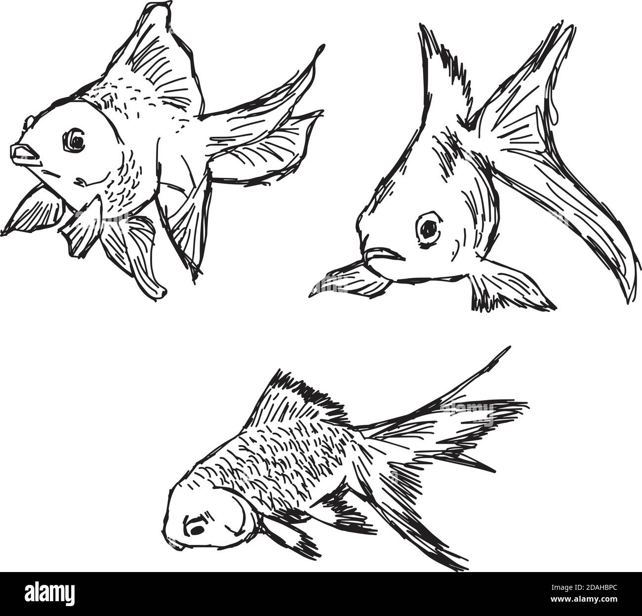 illustration vector hand draw doodles of gold fish set isolated on