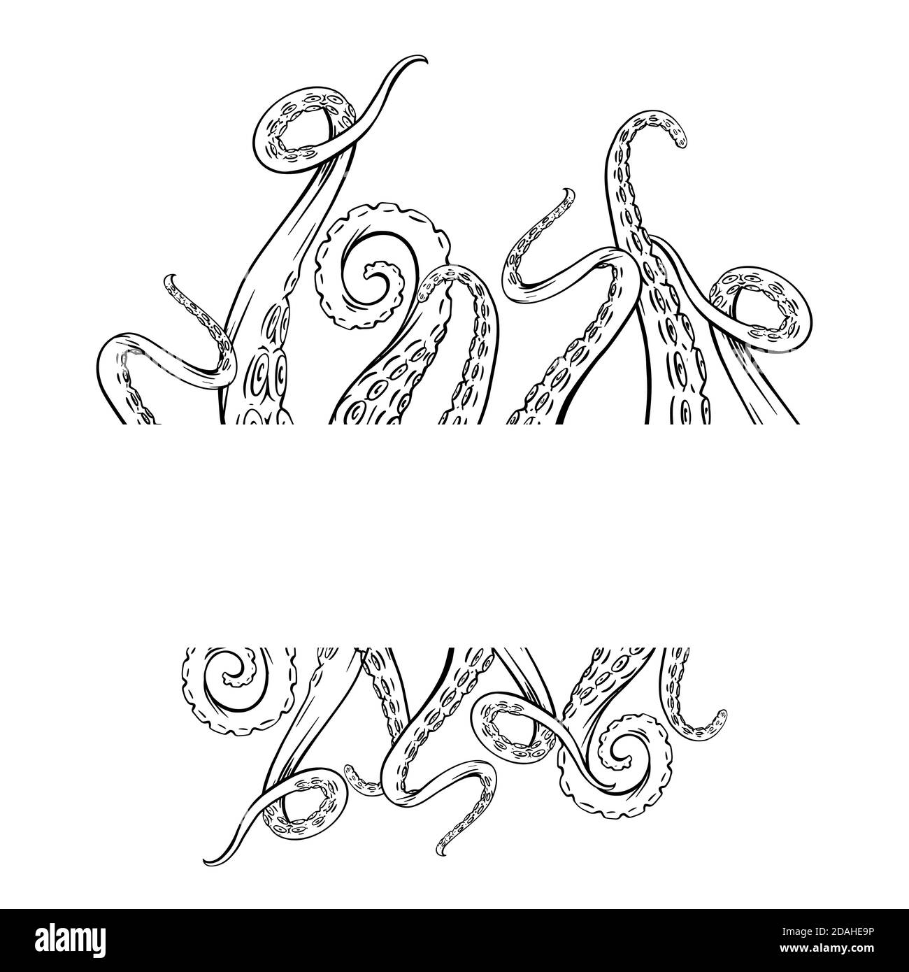 Frame with black and white sketches octopus tentacles and place for text. Creepy limbs of marine inhabitants. Vector template for banner, border, card Stock Vector