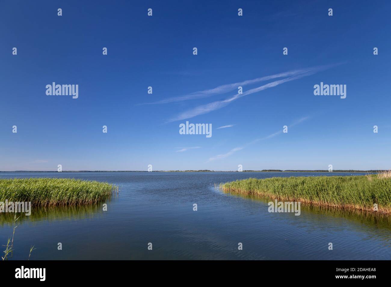 geography / travel, Germany, Mecklenburg-West Pomerania, Zempin, Szczecin Lagoon, isle Usedom, Baltic , Additional-Rights-Clearance-Info-Not-Available Stock Photo