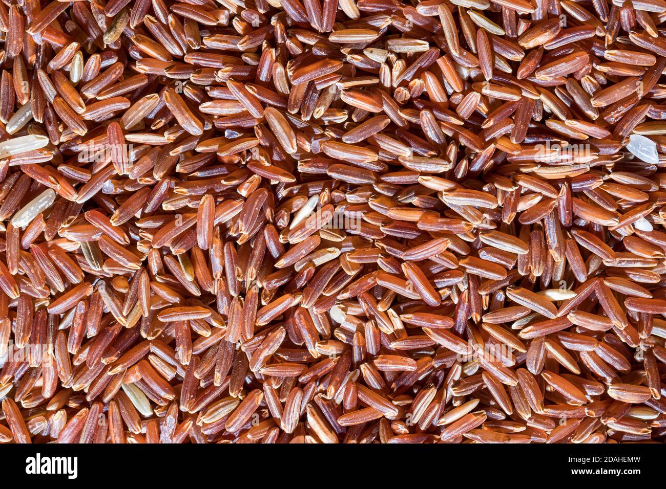 Texture of grains of red uncooked rice Stock Photo - Alamy