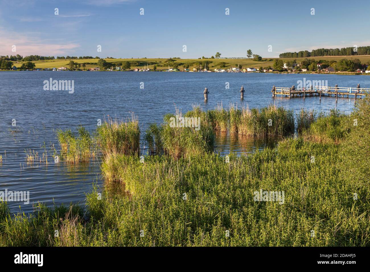 geography / travel, Germany, Mecklenburg-West Pomerania, Neppermin, Szczecin Lagoon at Neppermin, isle, Additional-Rights-Clearance-Info-Not-Available Stock Photo