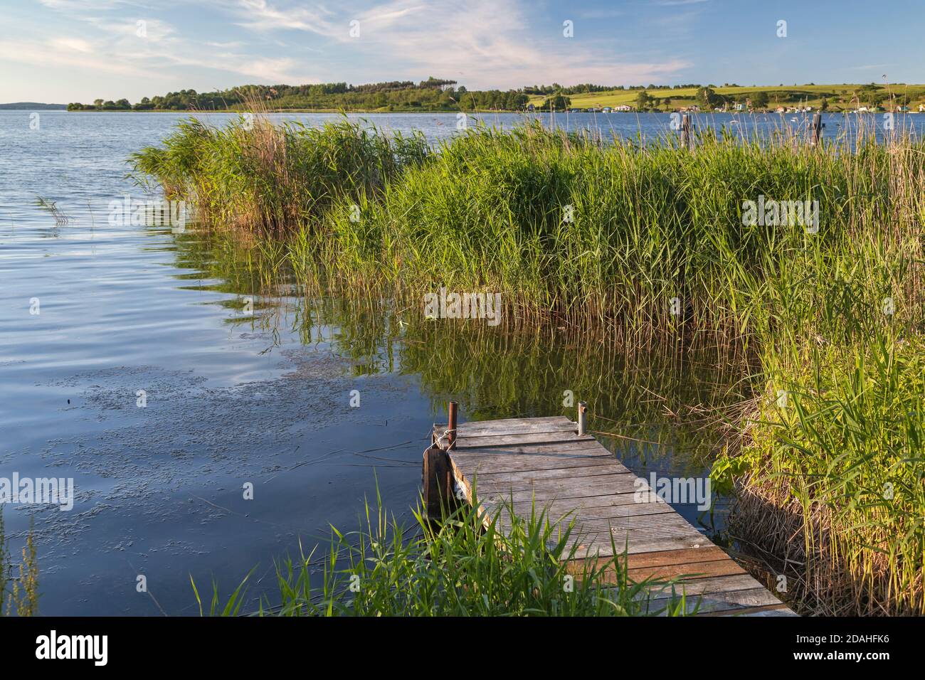 geography / travel, Germany, Mecklenburg-West Pomerania, Neppermin, Szczecin Lagoon at Neppermin, isle, Additional-Rights-Clearance-Info-Not-Available Stock Photo