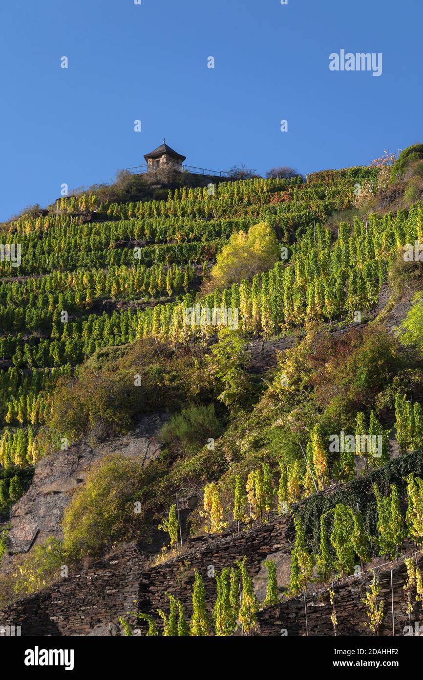 geography / travel, Germany, Rhineland-Palatinate, Rech, vineyard in the Ahrtal (Ahr Valley) near Rech, Additional-Rights-Clearance-Info-Not-Available Stock Photo