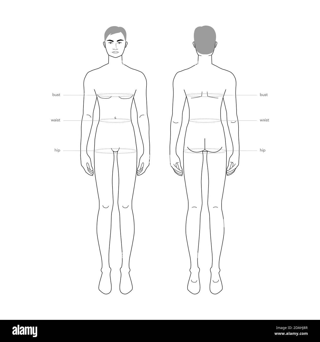 Men standard body parts terminology measurements Illustration for