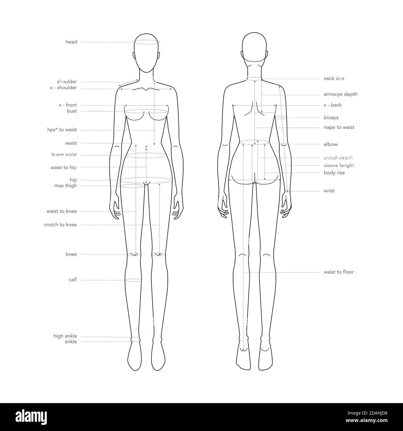 Women parts terminology measurements Illustration for clothes and accessories fashion lady size chart. 9 head for site and online shop. Human body infographic template Stock Vector Image & Art