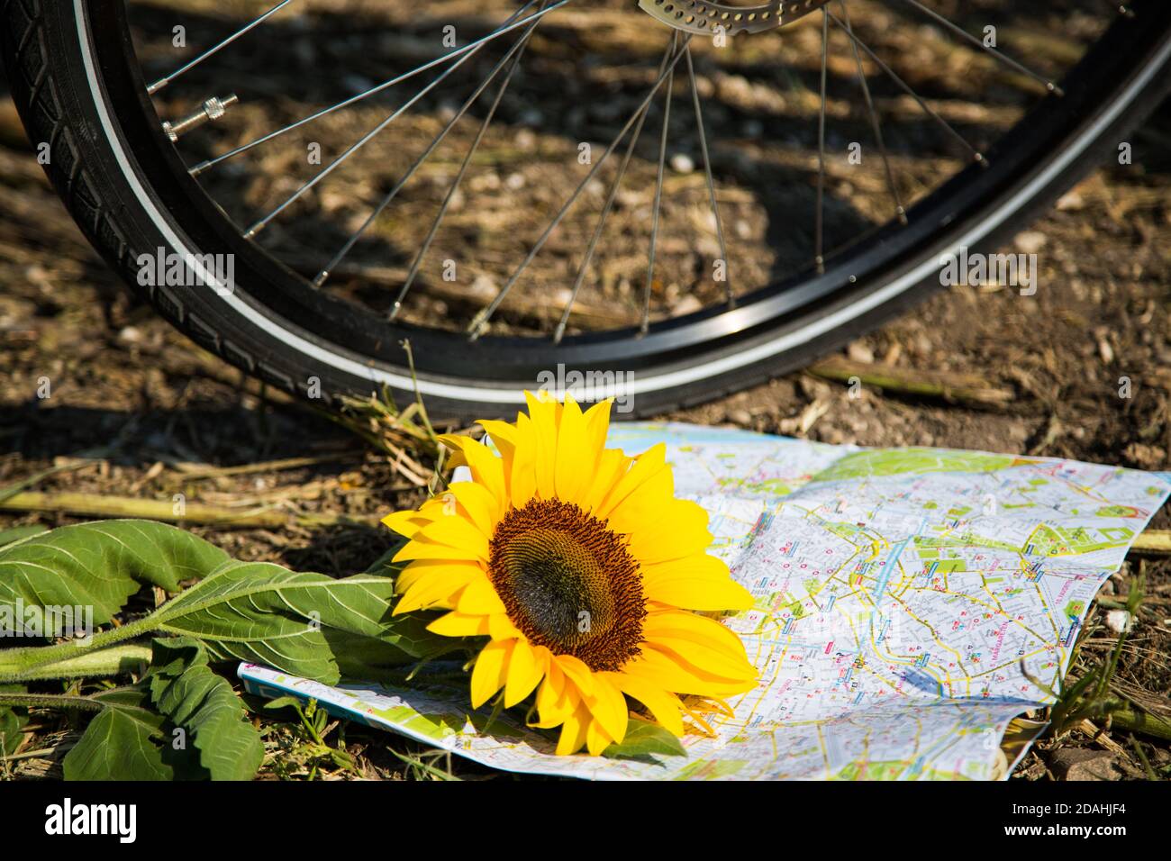 Bicycle tour map is in front of - Bicycle Tour Map Is In Front Of Front Wheel Bike Ride 2DAHJF4 