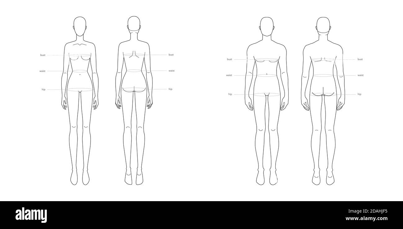 Male Anatomy Diagram Vs Female - Interactive Human Anatomy Figure Male