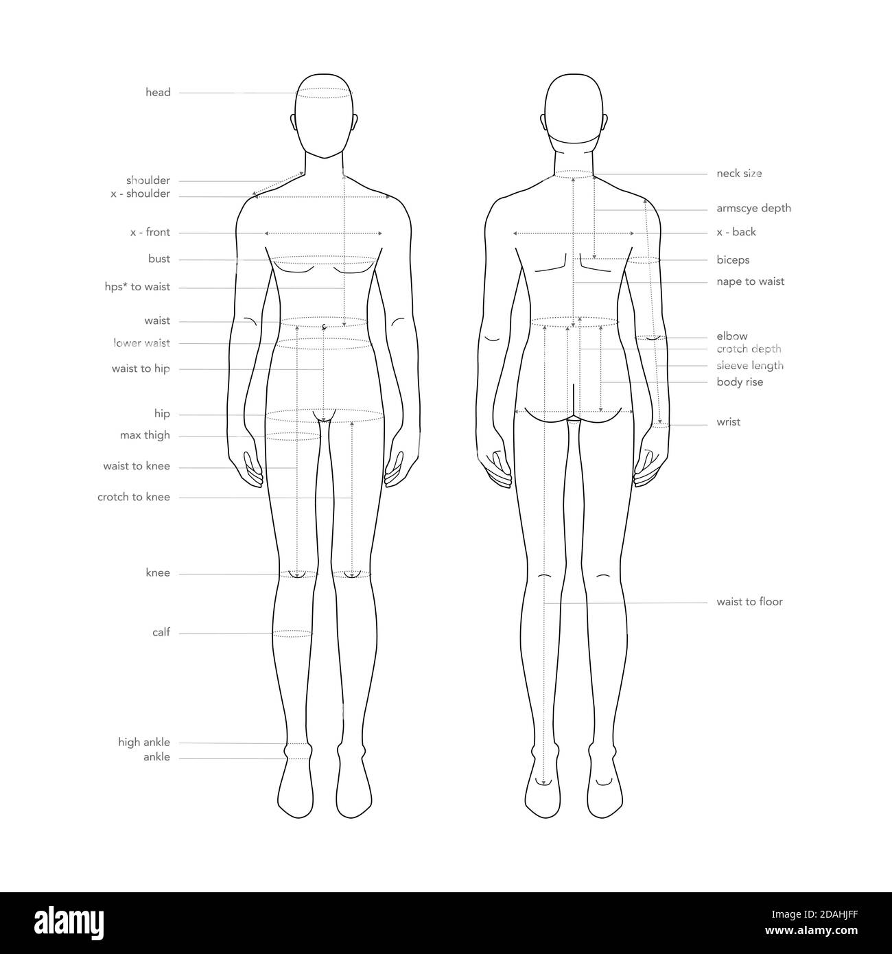 Men body parts terminology measurements Illustration for clothes and  accessories production fashion male size chart. 9 head boy for site and  online shop. Human body infographic template Stock Vector Image & Art -