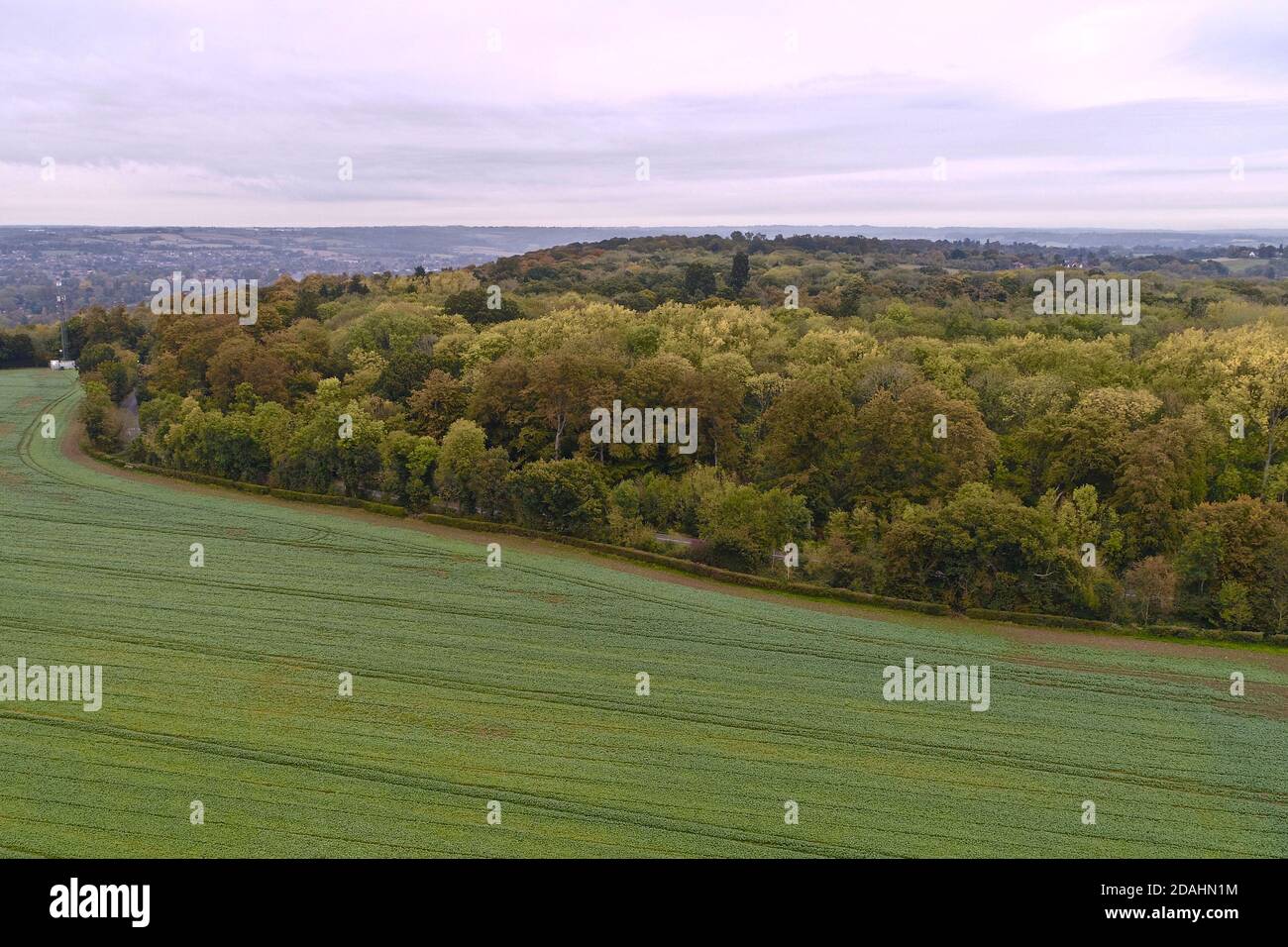 Aerial photo autumn trees hi-res stock photography and images - Alamy