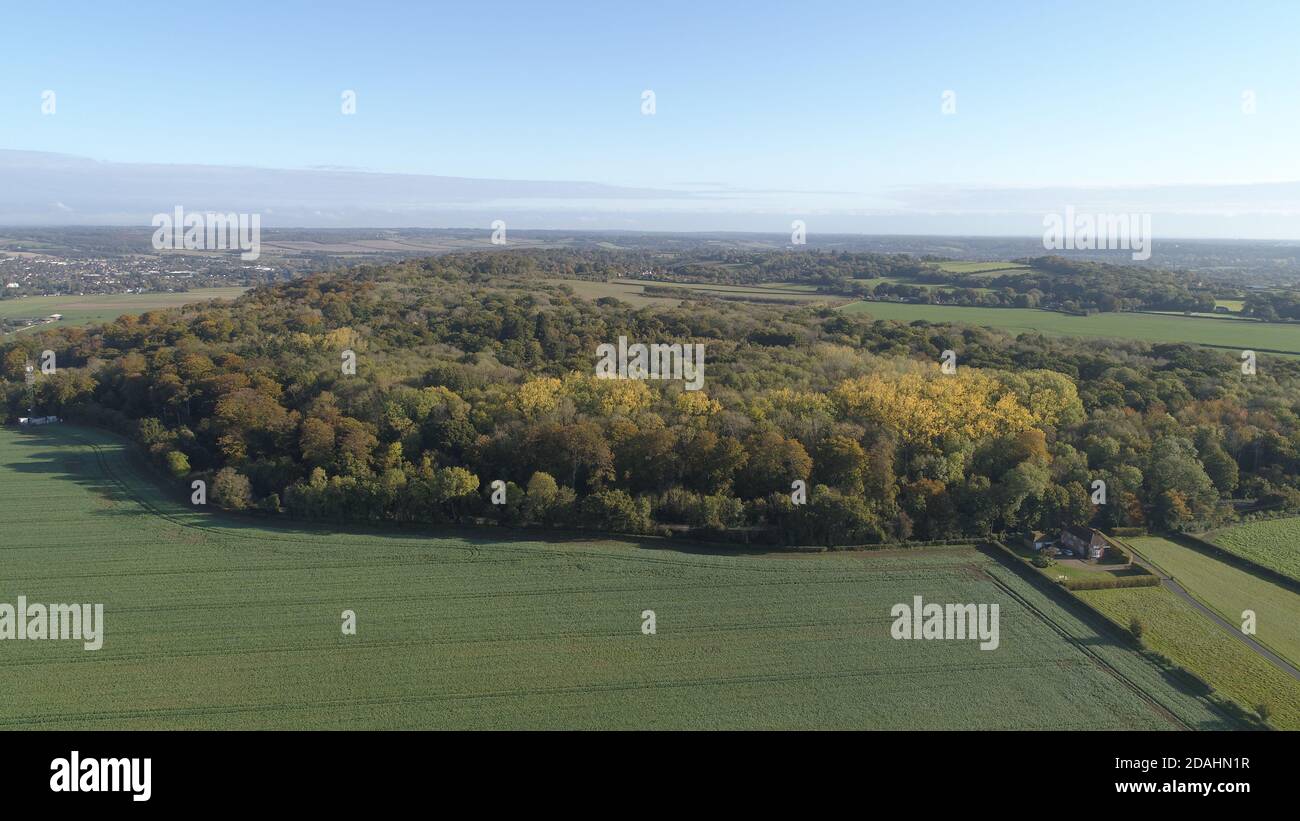 Aerial photo autumn trees hi-res stock photography and images - Alamy