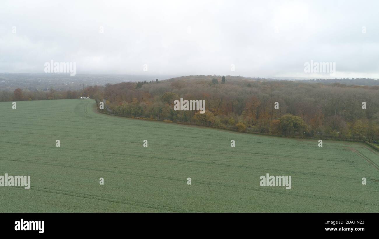 Autumn trees aerial hi-res stock photography and images - Alamy