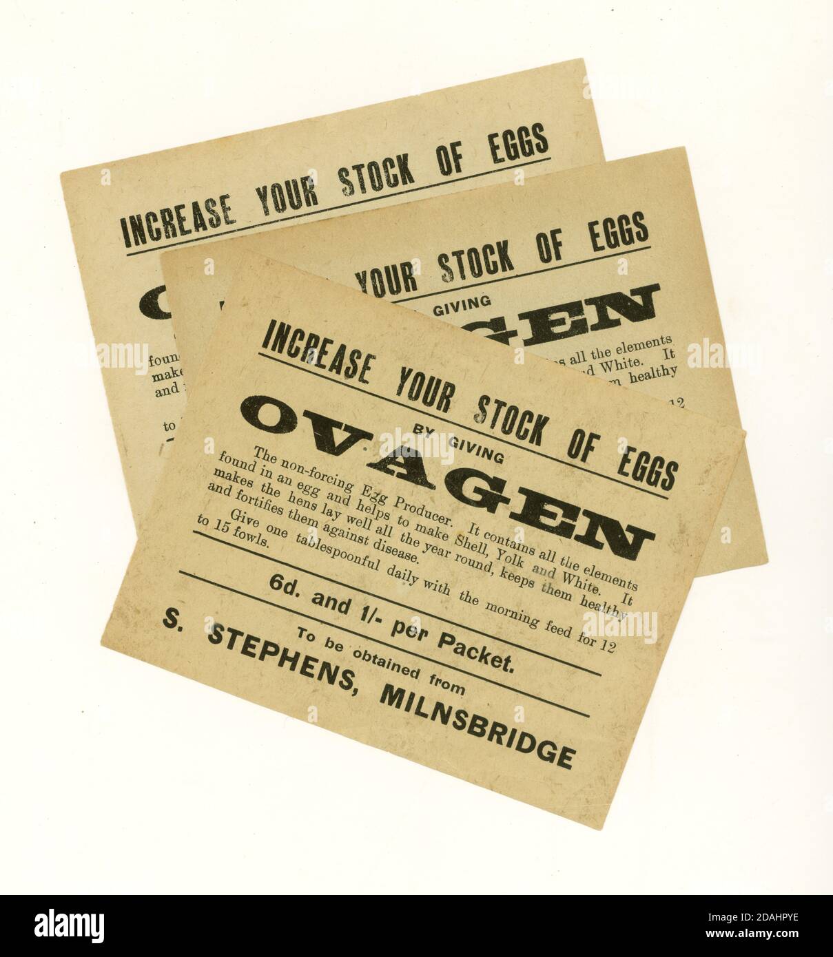 Early 1900's Ovagen egg production leaflet,  Milnsbridge, Huddersfield, W. Yorkshire, U.K. circa 1920's Stock Photo