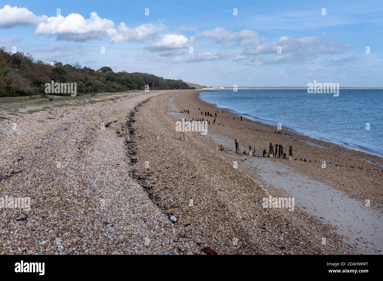 View of Cadland Estate Beach, New Forest, Hampshire, England, UK - a protected site of scientific interest. Stock Photo