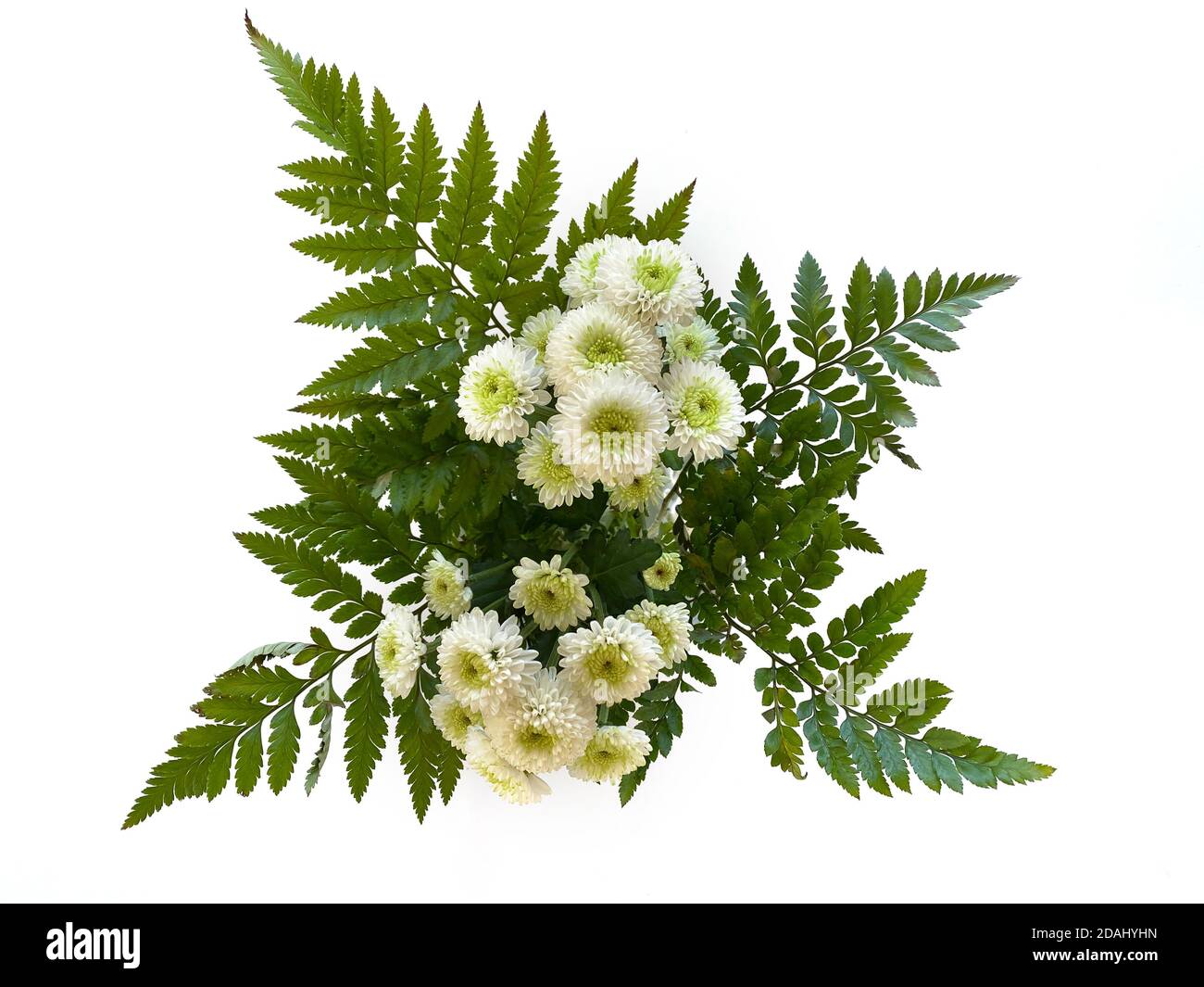 Pack of flowers Cut Out Stock Images & Pictures - Page 3 - Alamy