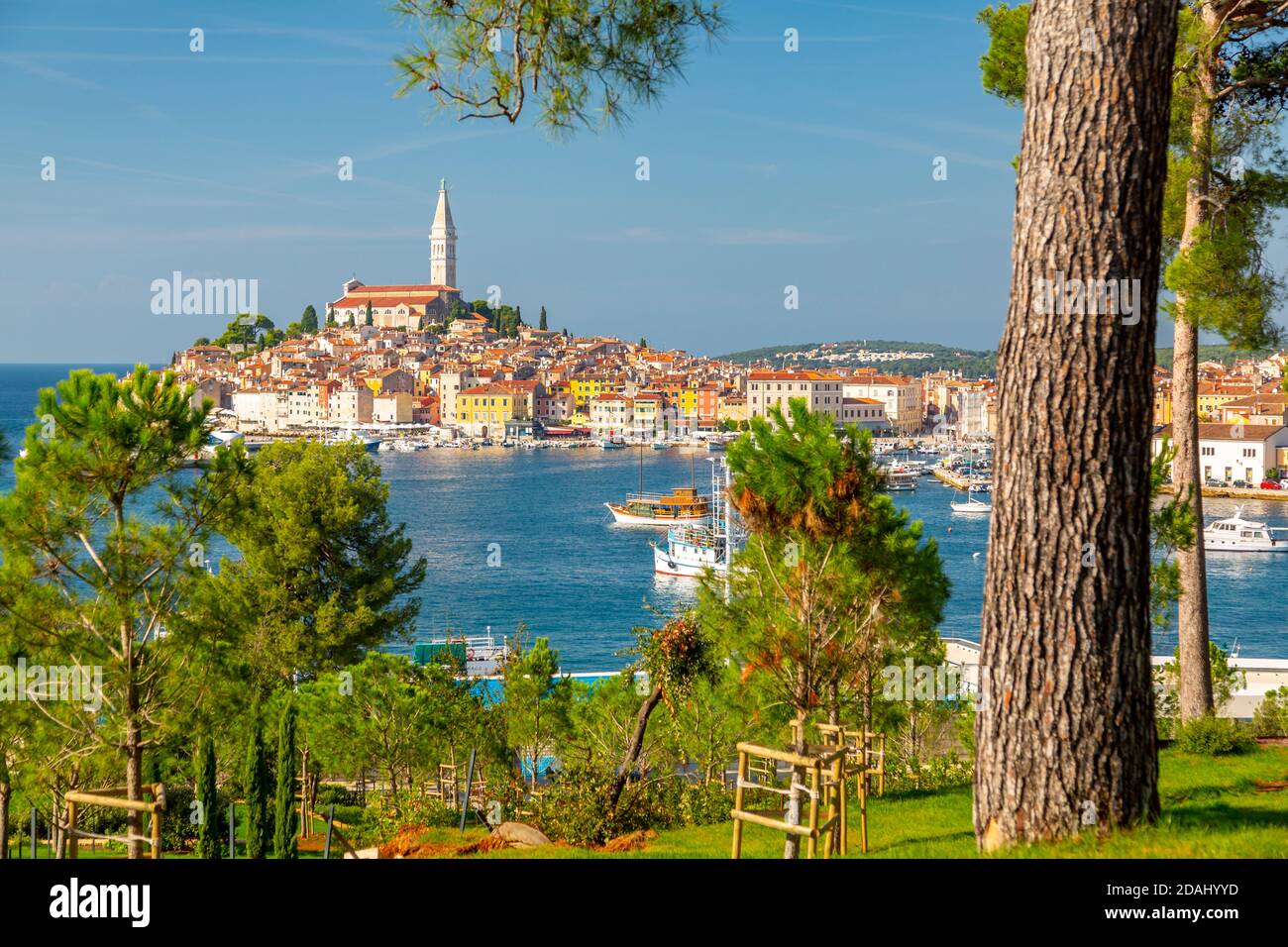 Elevated view of harbour and the old town with the cathedral of St. Euphemia, Rovinj, Istria, Croatia, Adriatic, Europe Stock Photo