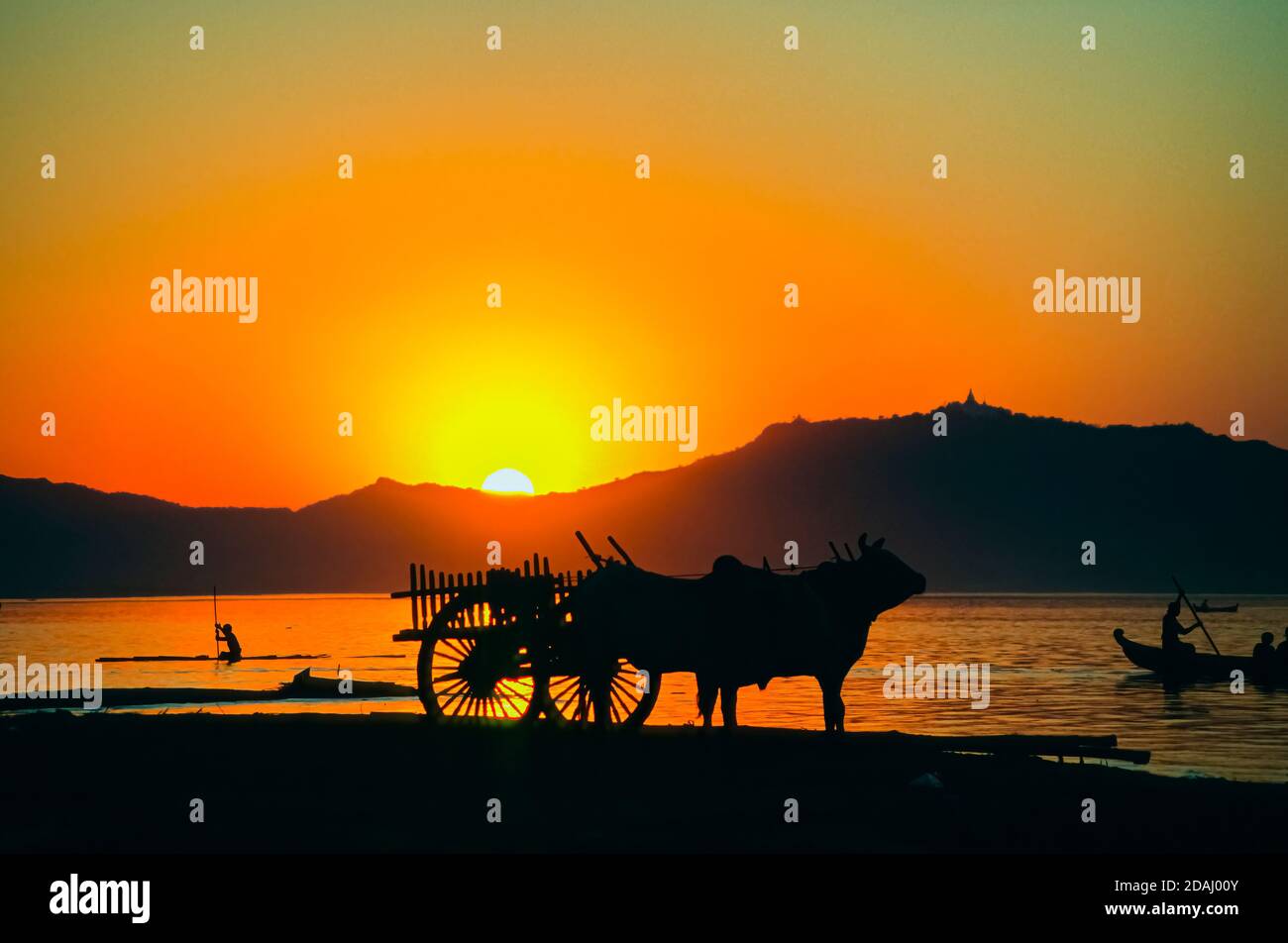 A traditional bullock cart silhouetted in Old Bagan on the banks of the Irrawaddy River, Myanmar (Burma) in the evening at sunset as teh sun goes down Stock Photo