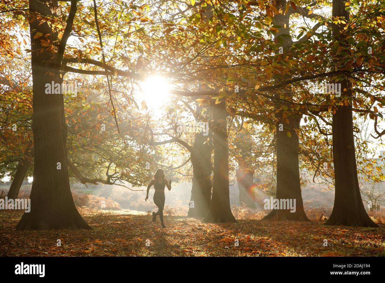 A woman of Asian descent running in a forest Stock Photo Alamy