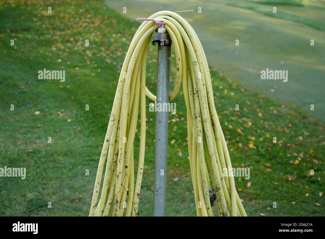 Garden flowers spray nozzle hi-res stock photography and images - Alamy