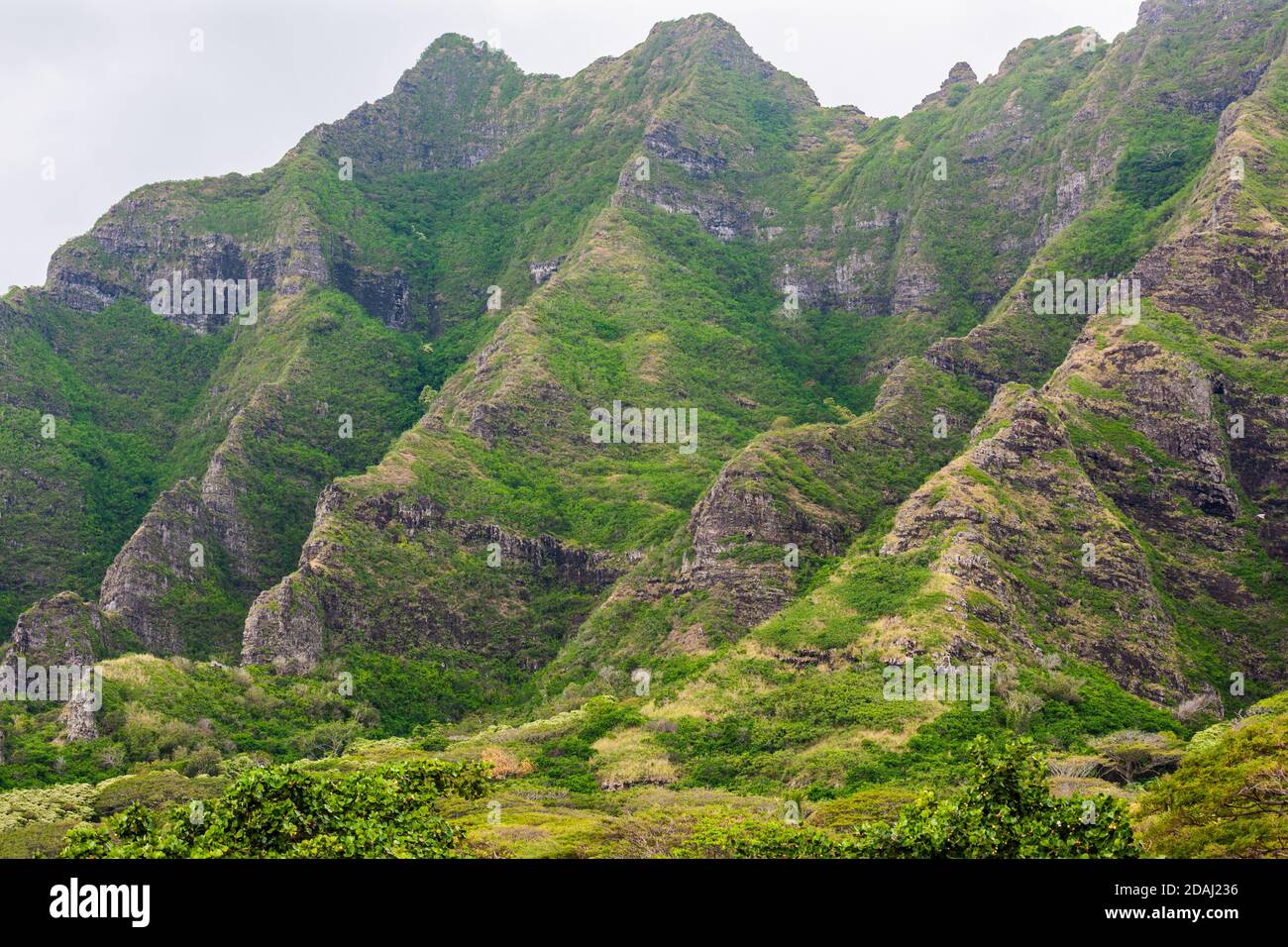 Jagged mountain peak, Oahu, Hawaii. Koolau Mountain Range running down entire east side of Island. Stock Photo