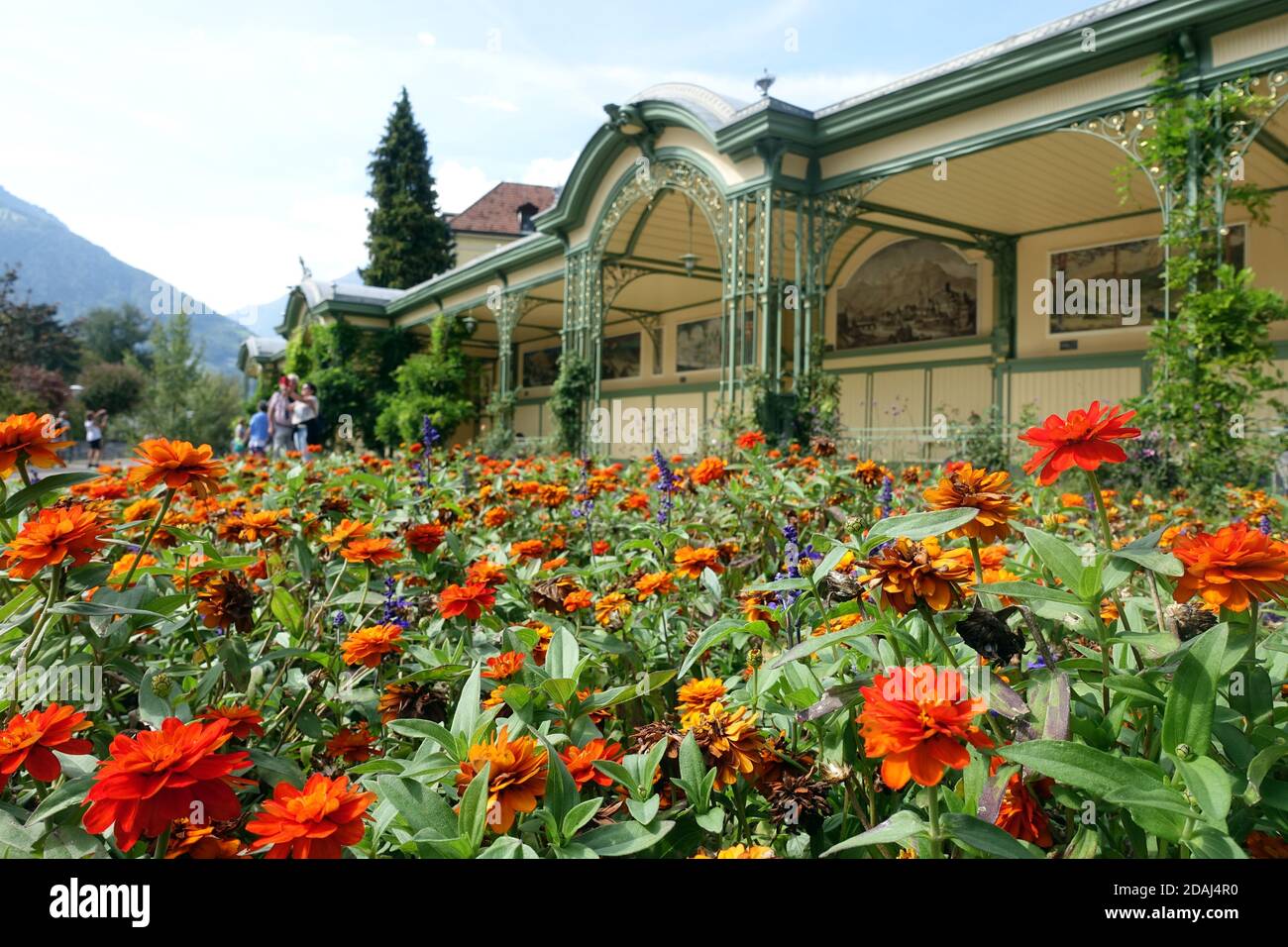 Blumenbeete an der denkmalgeschützten Wandelhalle an der Passerpromenade, Meran, Südtirol, Italien Stock Photo