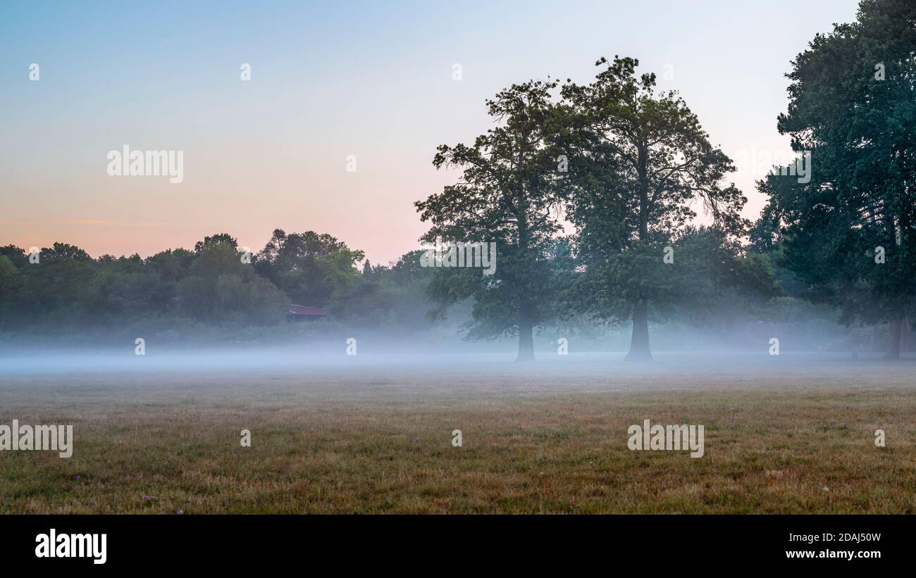 Morgenstimmung mit Nebel und blauem Himmel im Rosentalpark Leipzig Stock Photo