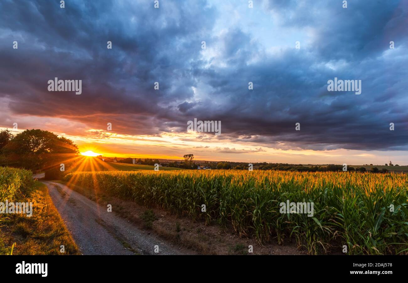 Sonnenuntergang in mittelsächsischer Landschaft, Zwickauer Land Stock Photo