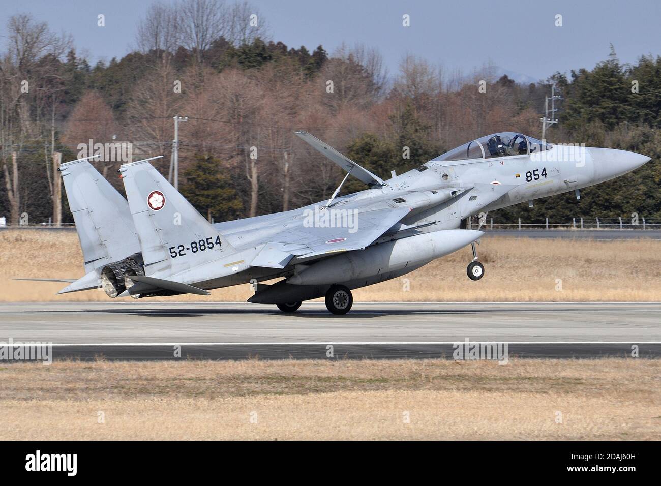 McDONNELL-DOUGLAS F-15J EAGLE OF THE 305 SQUADRON JAPANESE AIR SELF-DEFENSE FORCE (JASDF). Stock Photo