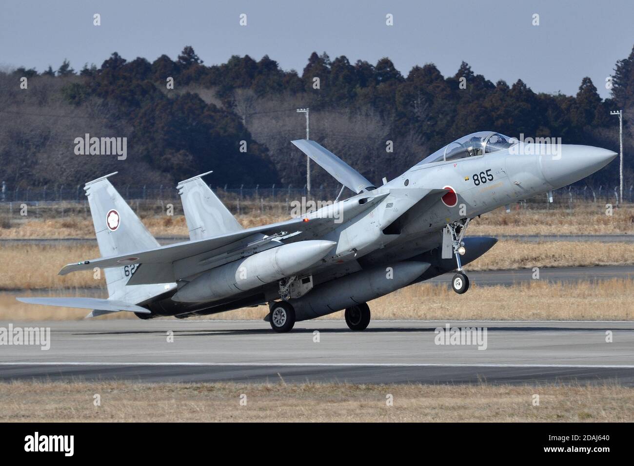 McDONNELL-DOUGLAS F-15J EAGLE OF THE 305 SQUADRON JAPANESE AIR SELF-DEFENSE FORCE (JASDF). Stock Photo