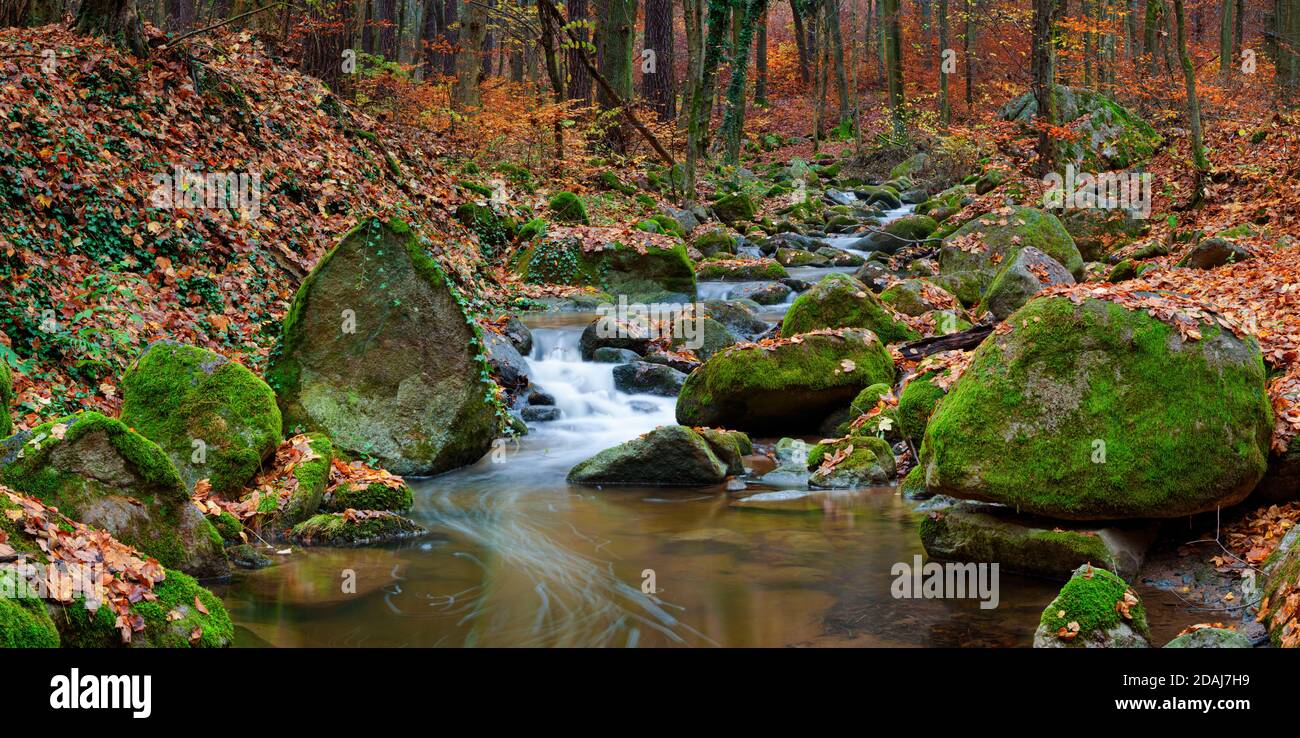 The river Sembera sources near to community of Jevany, Central Bohemia in an altitude of 415 m. Stock Photo