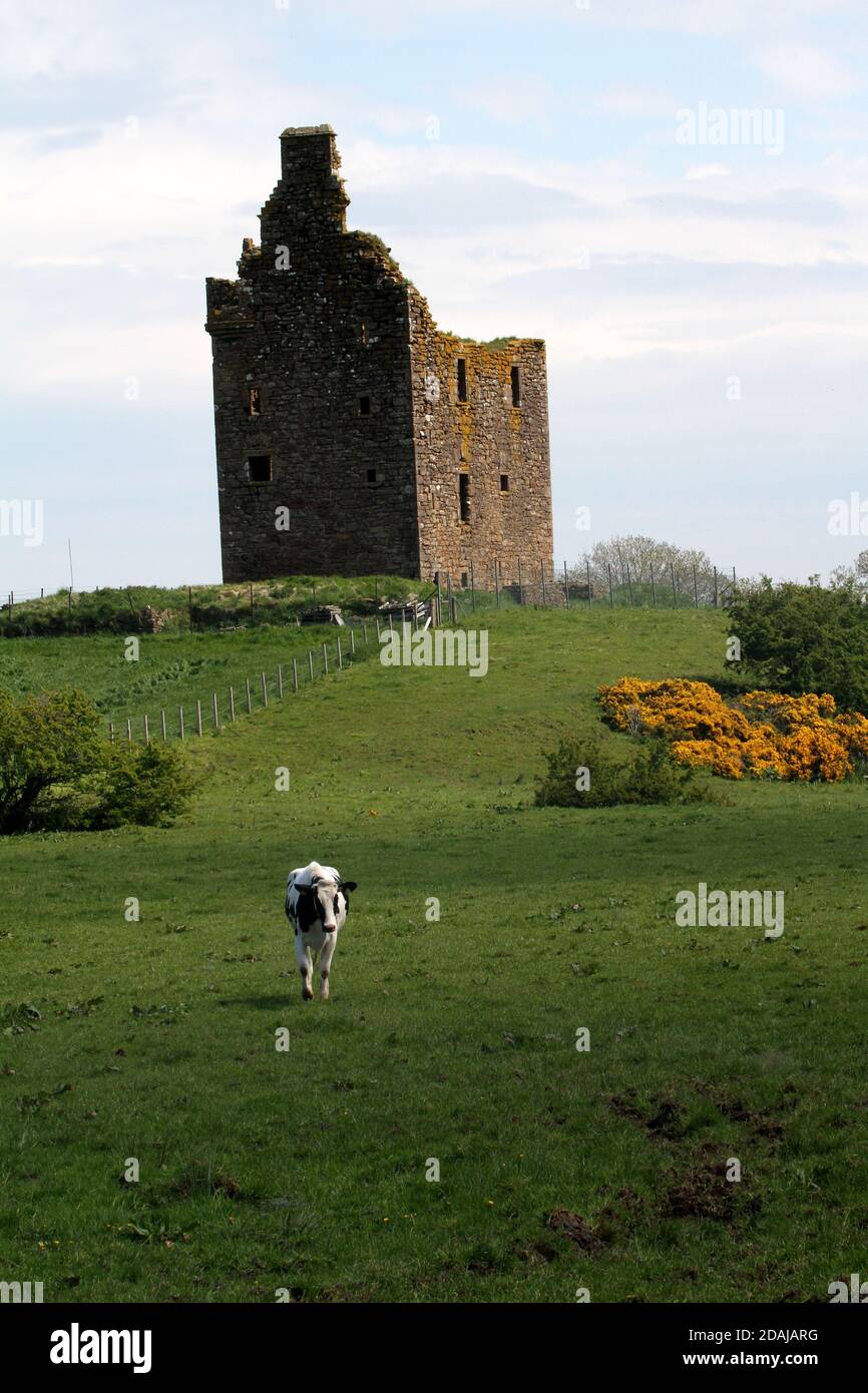 Baltersan Castle, Maybole, Ayrshire, Scotland, UK. Baltersan Castle is a ruined L-plan tower house lIt was originally graded as a Category B listed building in 1971, but this was upgraded to Category A in 1995. Stock Photo