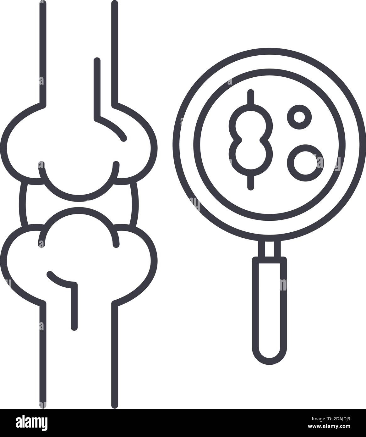Bone densitometry test icon, linear isolated illustration, thin line ...