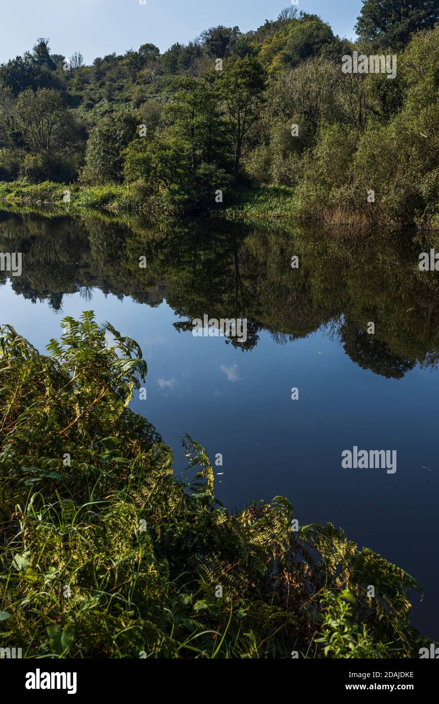 Calm waters and reflections on the river Barrow walkway on a sunny summers day, Graiguenamanagh, County Carlow, Ireland Stock Photo