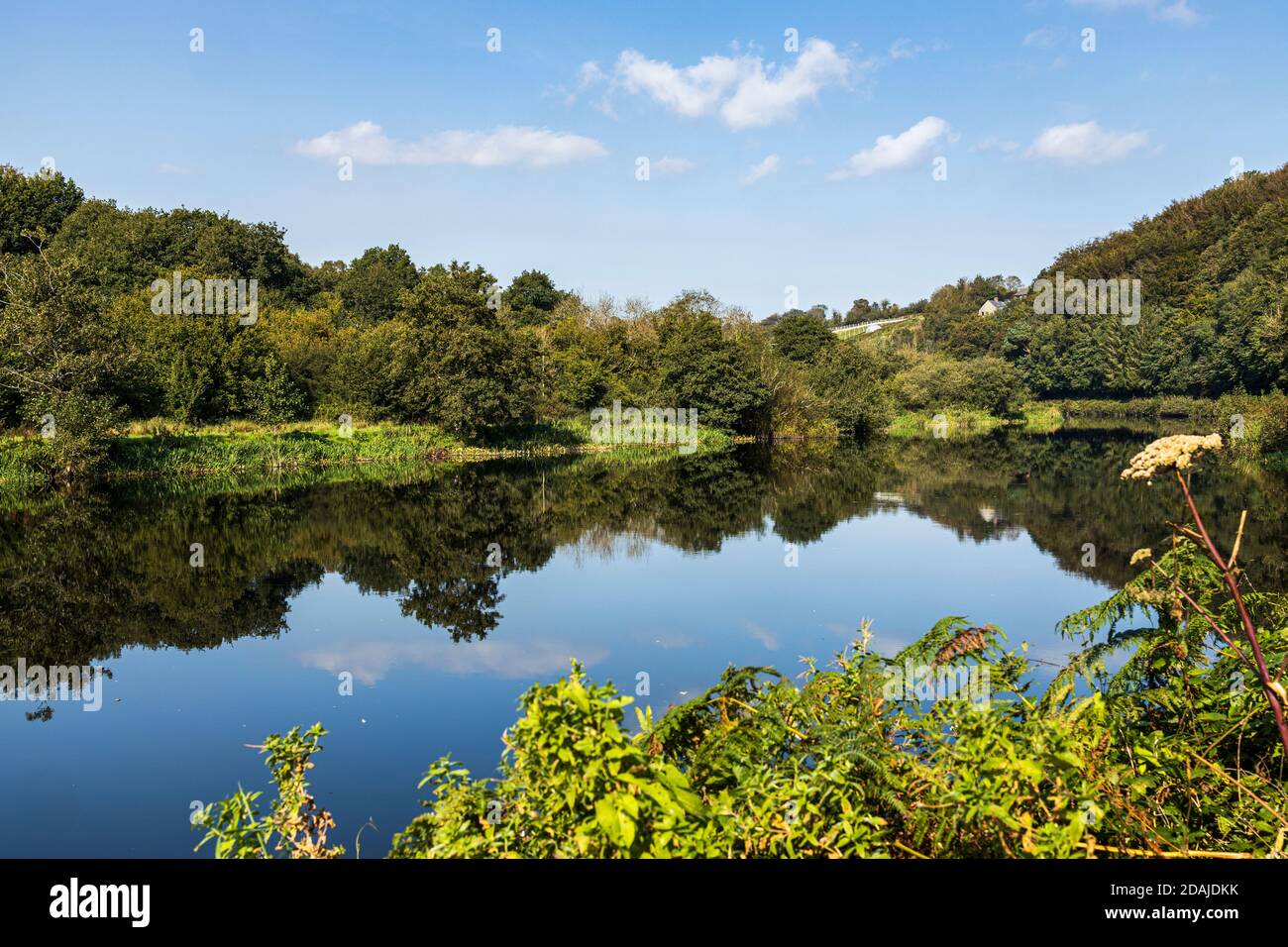 Calm waters and reflections on the river Barrow walkway on a sunny summers day, Graiguenamanagh, County Carlow, Ireland Stock Photo