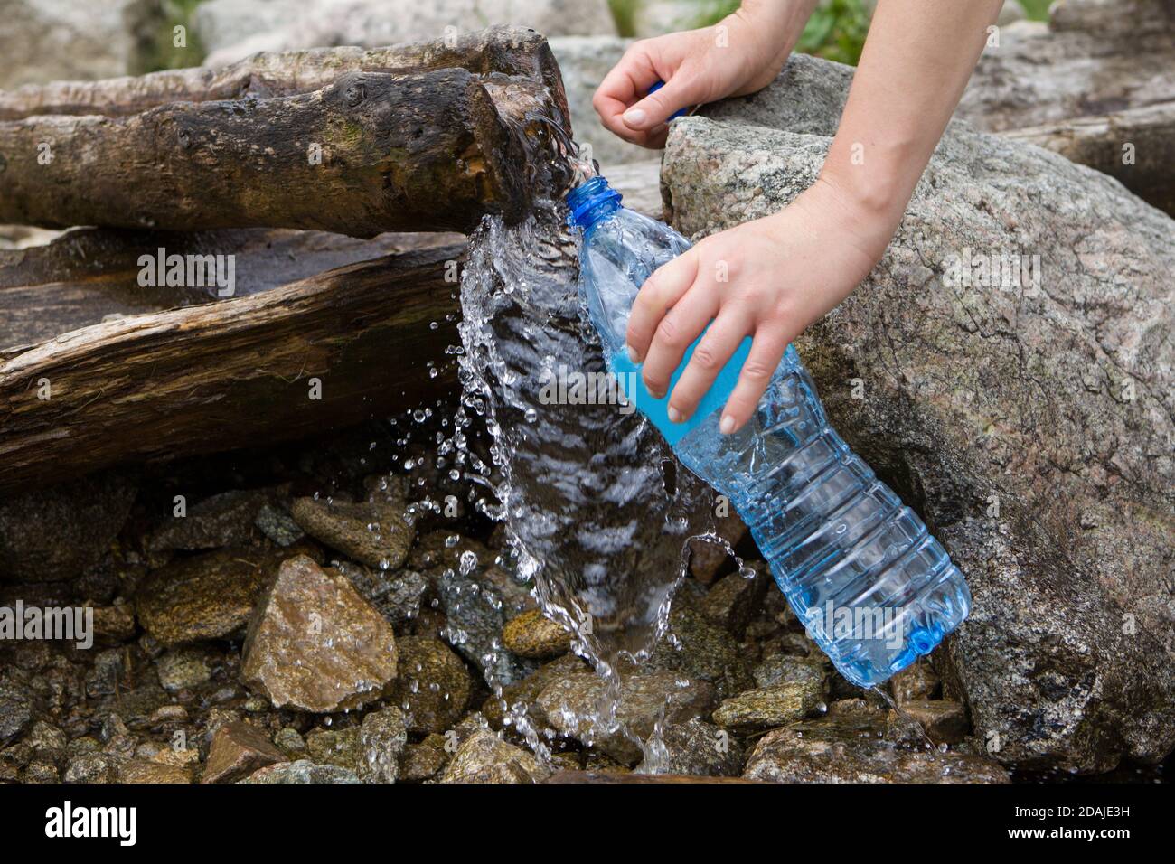 Plastic bottle water filling, natural pure water source. Taking spring water from a mountain spring. Stock Photo
